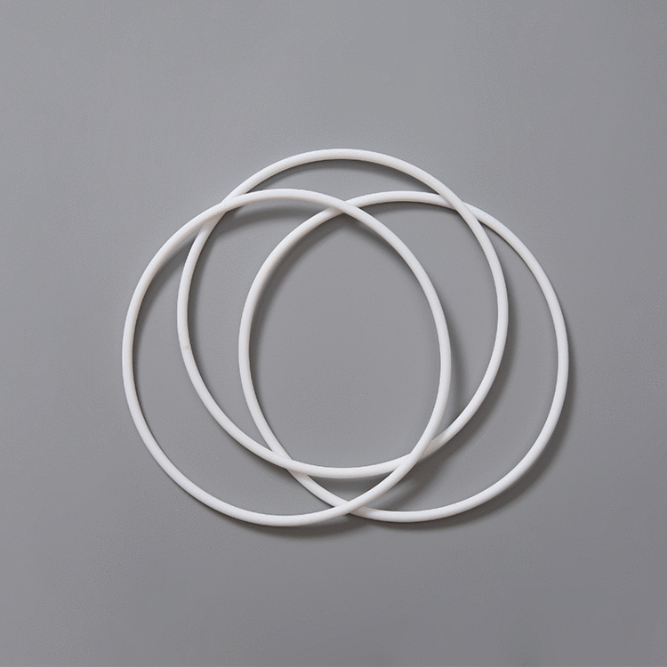 PTFE sealing gasket PTFE O-type gasket sealing ring mechanical seals customized